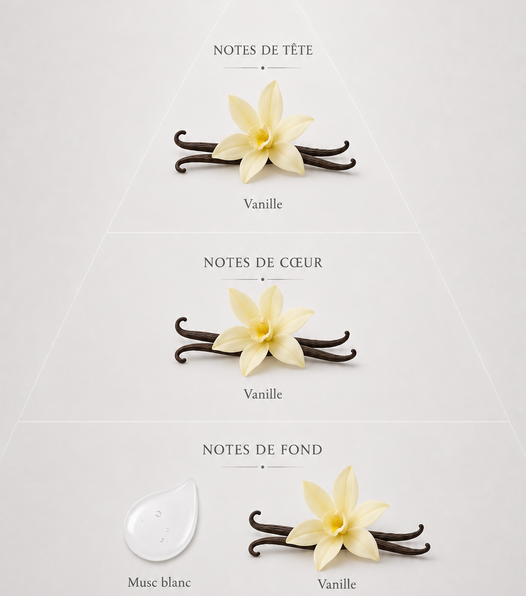 Gel parfumé au musc blanc - Vanille Royale
